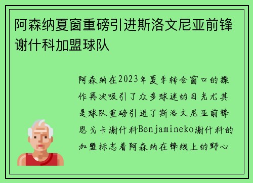 阿森纳夏窗重磅引进斯洛文尼亚前锋谢什科加盟球队